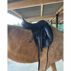 selle dressage kent & Master