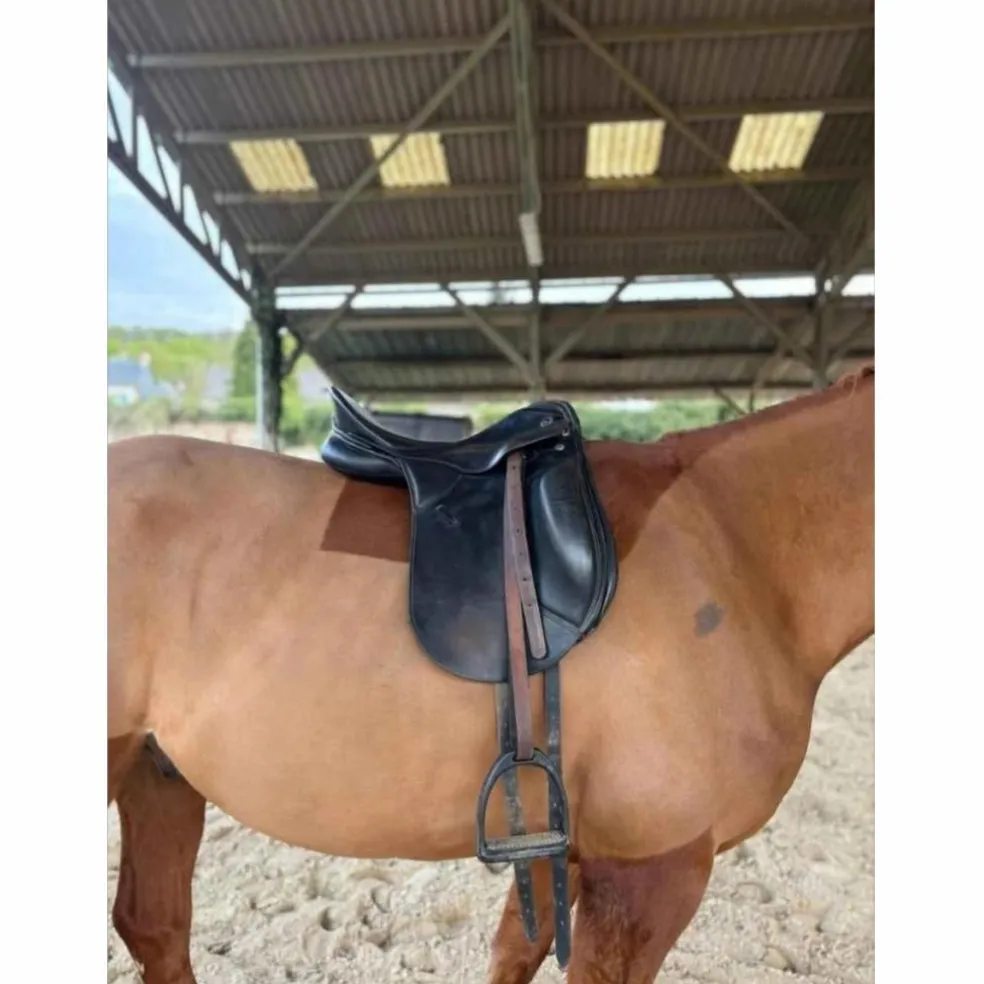 Selle dressage Kieffer