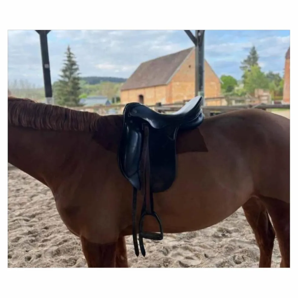 Selle dressage Kieffer