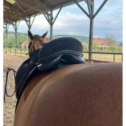 Selle dressage Kieffer