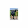 Selle dressage noire 17' Vincent Gaffet excellent état