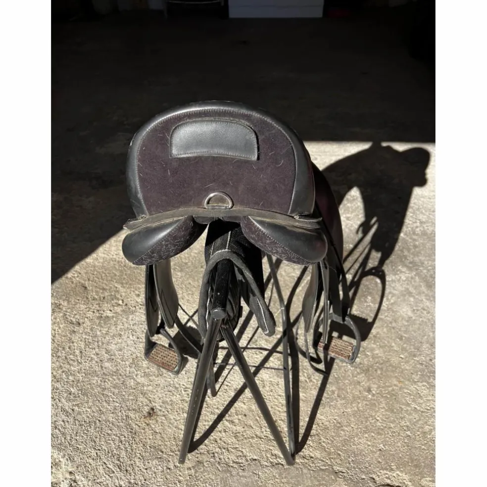 selle dressage Norton