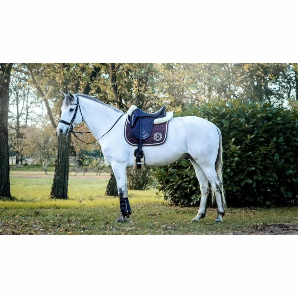 Selle dressage premiere equine