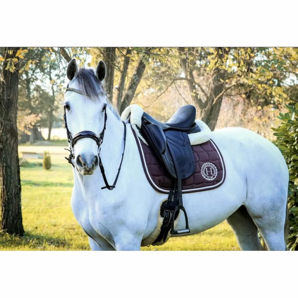 Selle dressage premiere equine