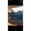 Selle dressage Stubben maestoso de luxe