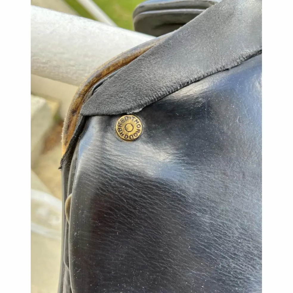 selle dressage thoroughbred saddlery noire
