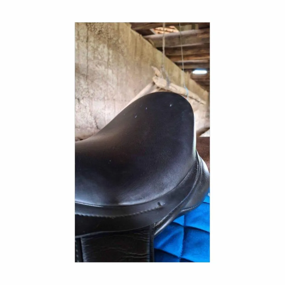 Selle dressage thorowgood 18"