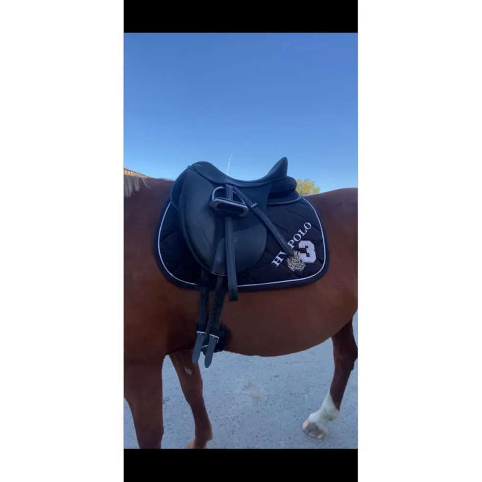 selle dressage wintec Isabell werth cair