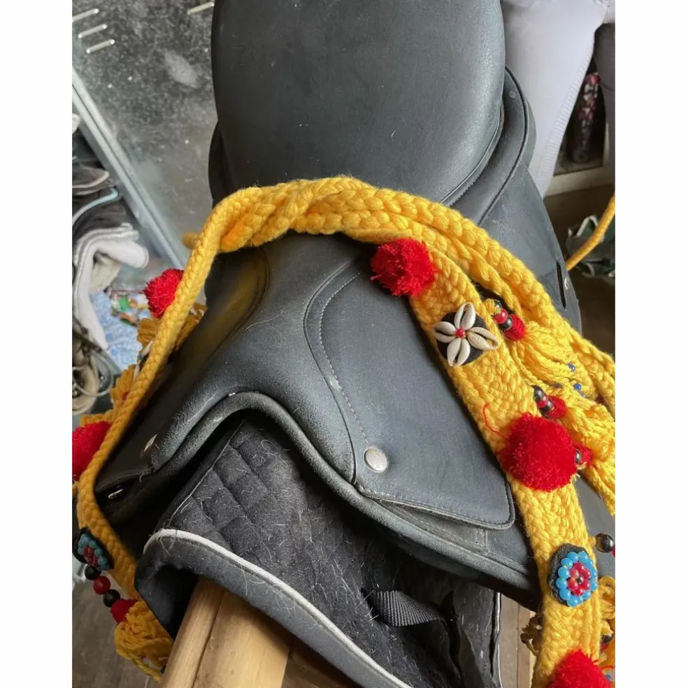 Selle Dressage Wintec ISABELLE WERTH