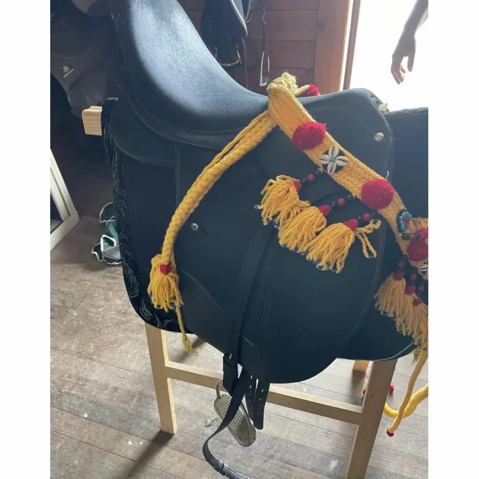 Selle Dressage Wintec ISABELLE WERTH