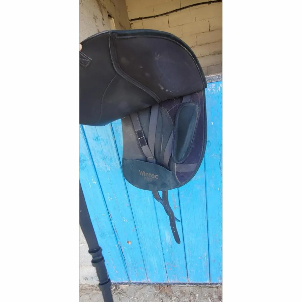Selle dressage wintec pro