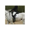 Selle dressage wintec werth