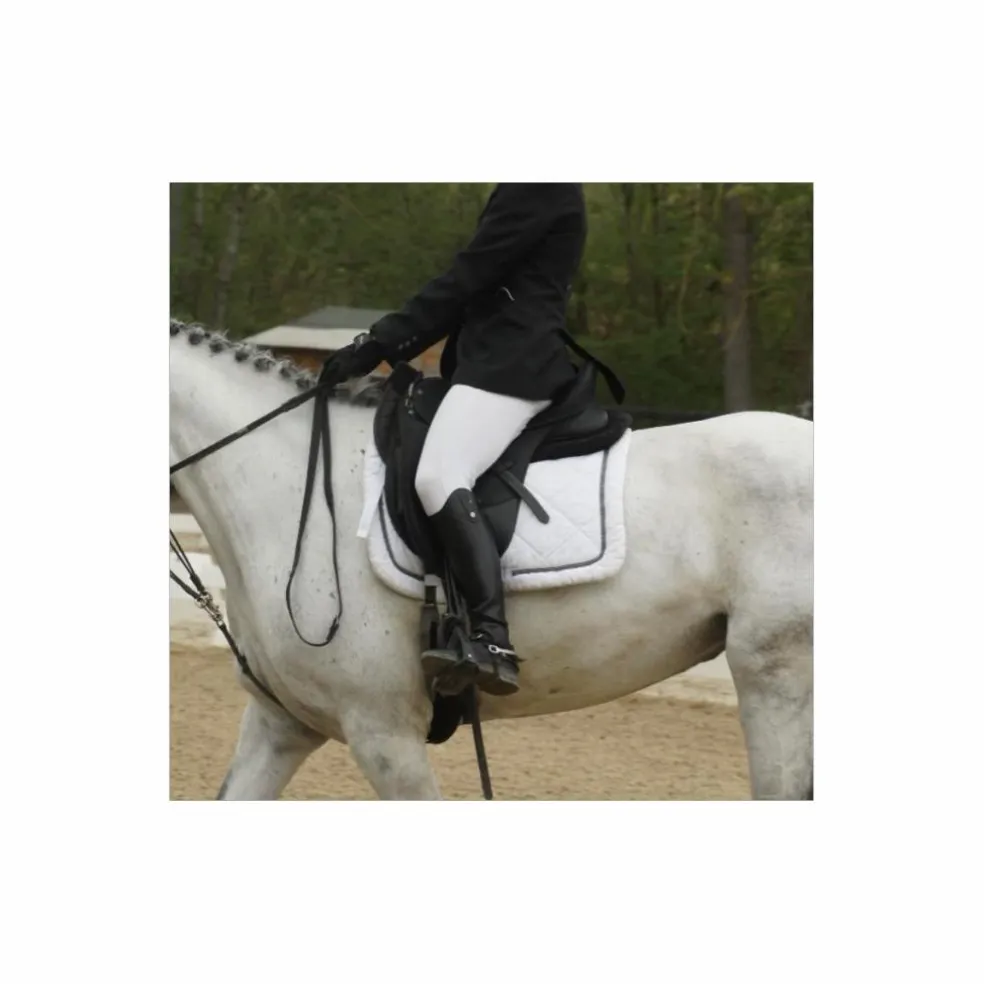 Selle dressage wintec werth