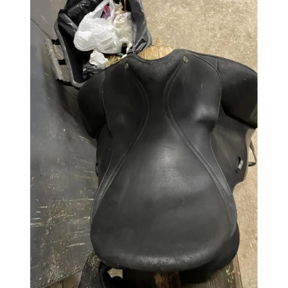 Selle dressage wintec werth