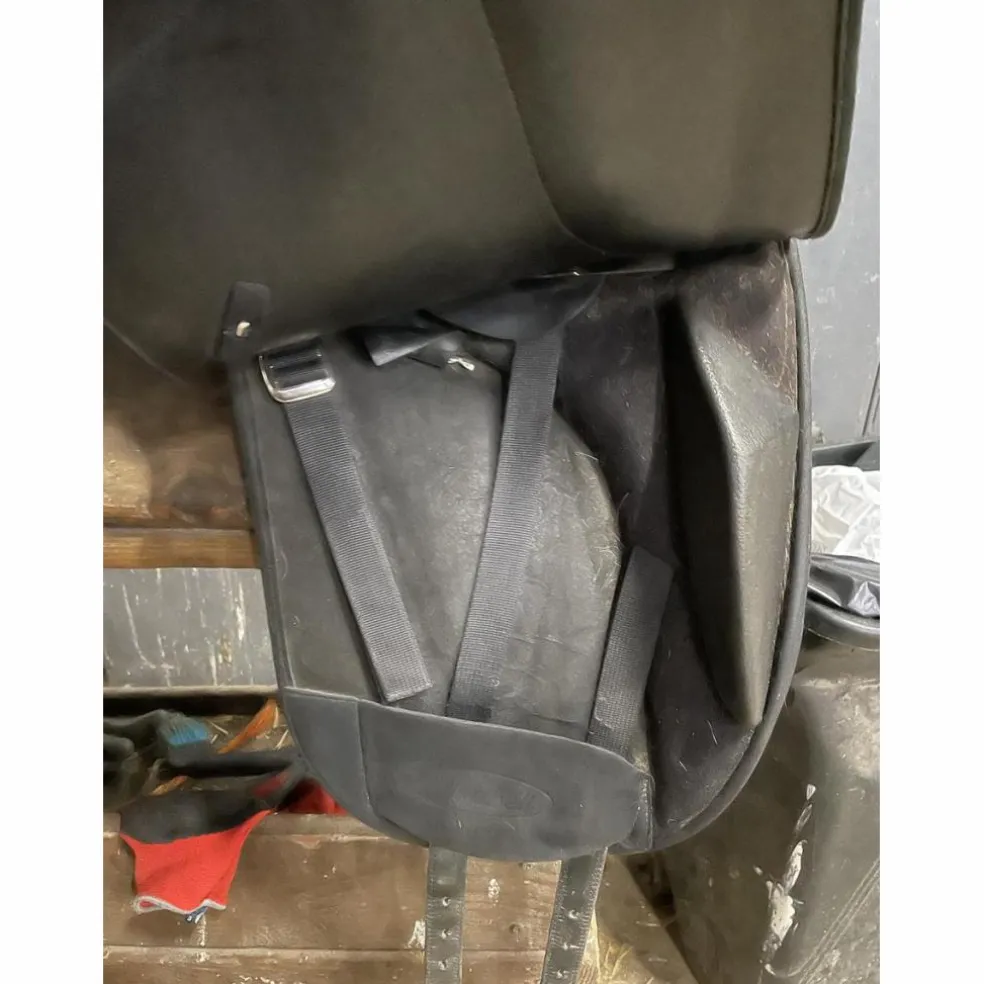 Selle dressage wintec werth