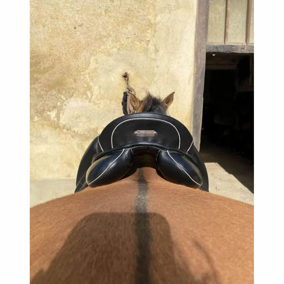 Selle dressage Zaldi