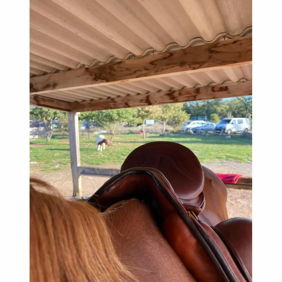 Selle dressage Zaldi