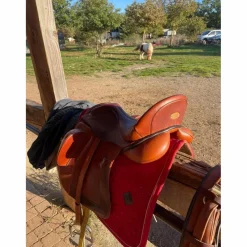 Selle dressage Zaldi