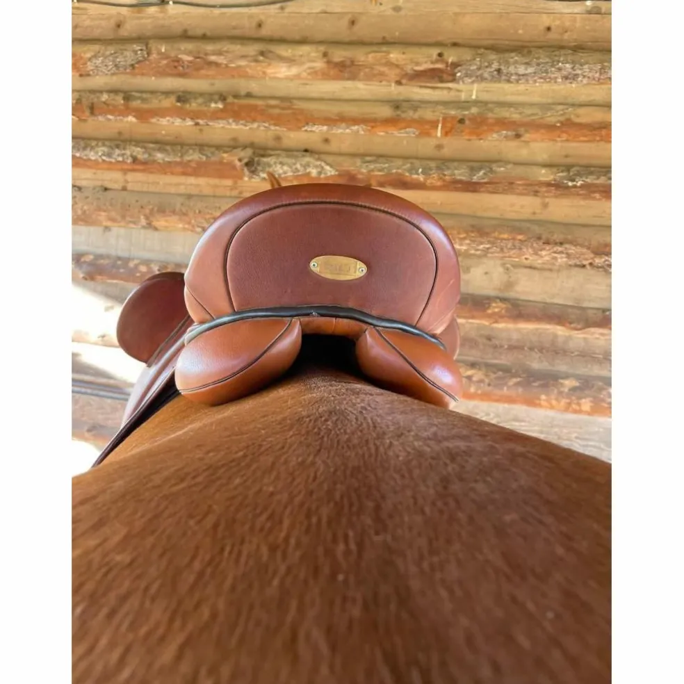 Selle dressage Zaldi