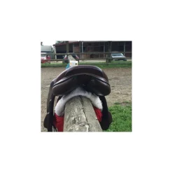 Selle Equipe Monoquartier