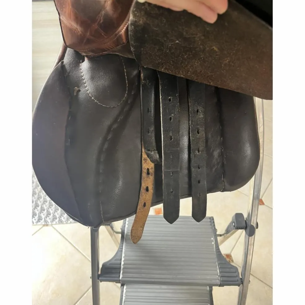 selle equitation