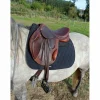 selle Eric Thomas fitting cross 17.5