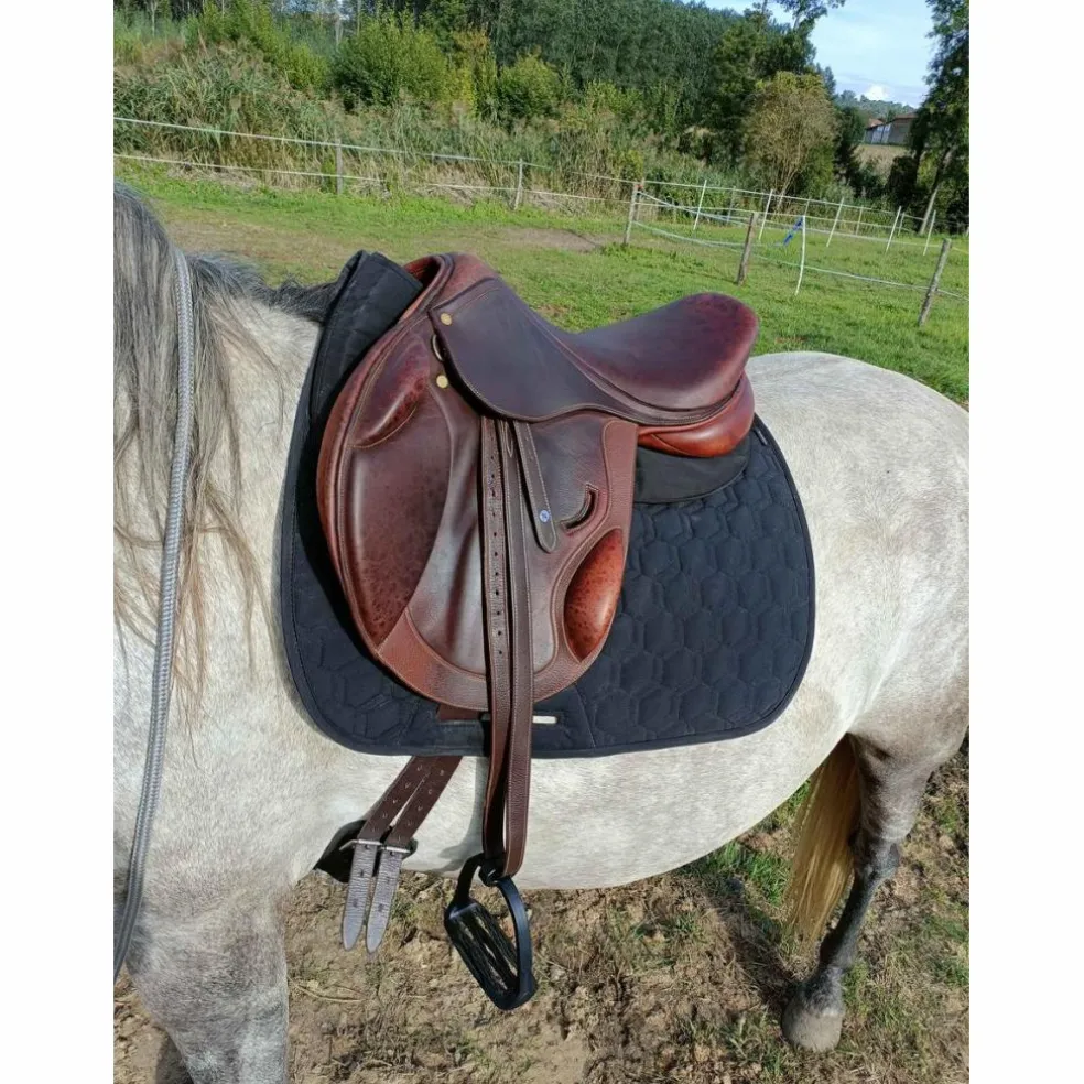 selle Eric Thomas fitting cross 17.5
