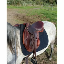 selle Eric Thomas fitting cross 17.5
