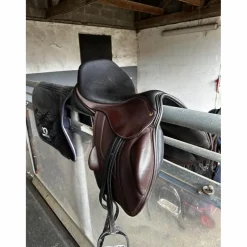 Selle esta saddle