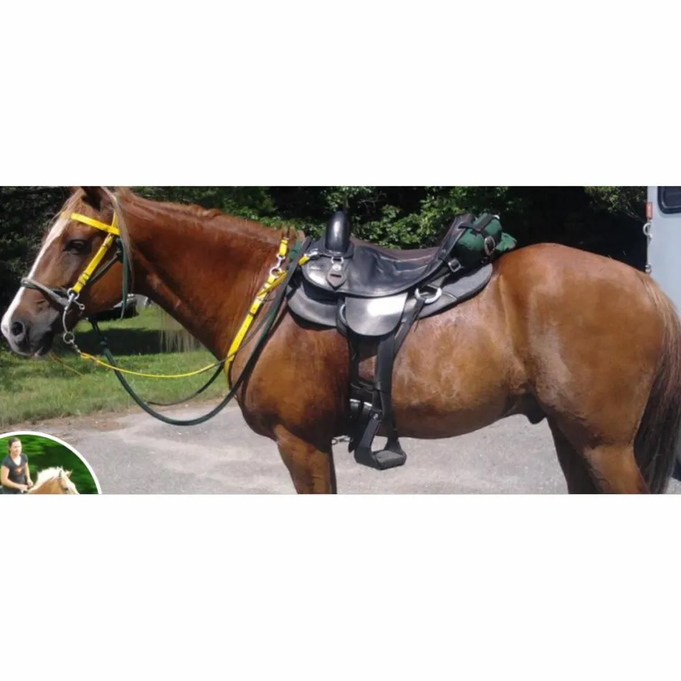 Selle EZ fit en cuir sans arcon + accessoires