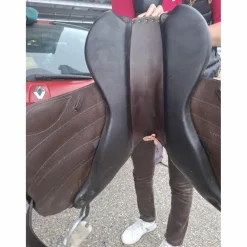 Selle forestier