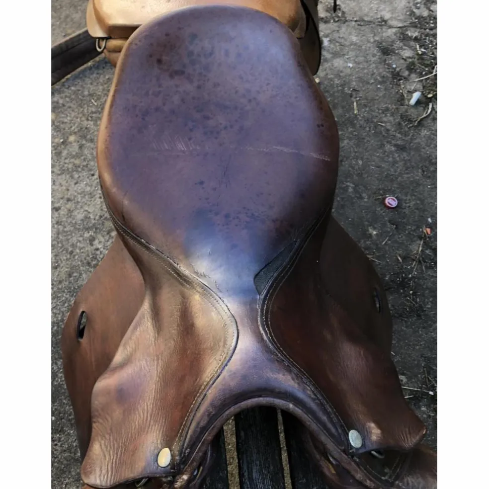 Selle forestier