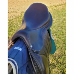Selle Forestier - Séoul