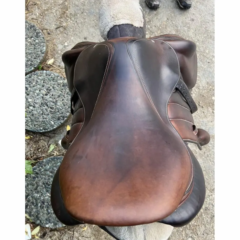 Selle Forestier Boecklo 17p