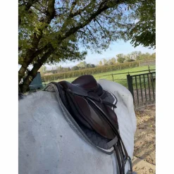 Selle Forestier Boekelo