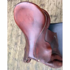 Selle forestier Jonzac