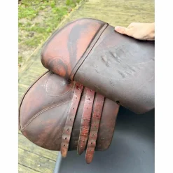 Selle forestier Jonzac