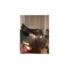SELLE FORESTIER MIXTE 17,5