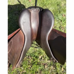 Selle Forestier Seoul