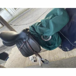 Selle forestier Séoul