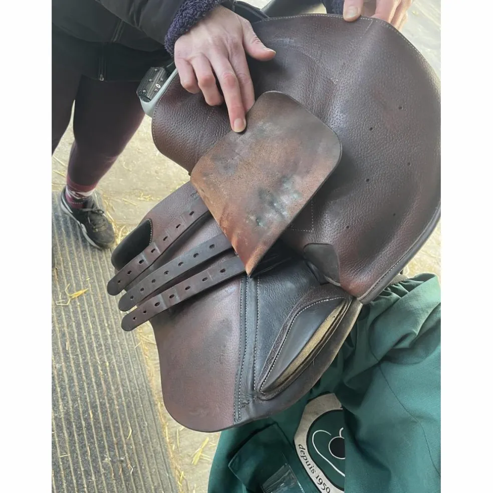 Selle forestier Séoul