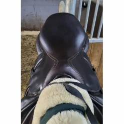 Selle Forestier Séoul