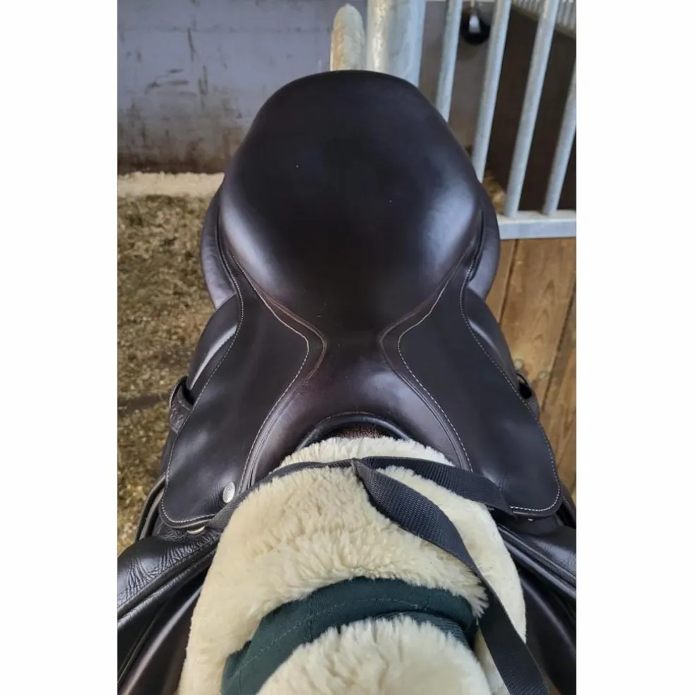 Selle Forestier Séoul