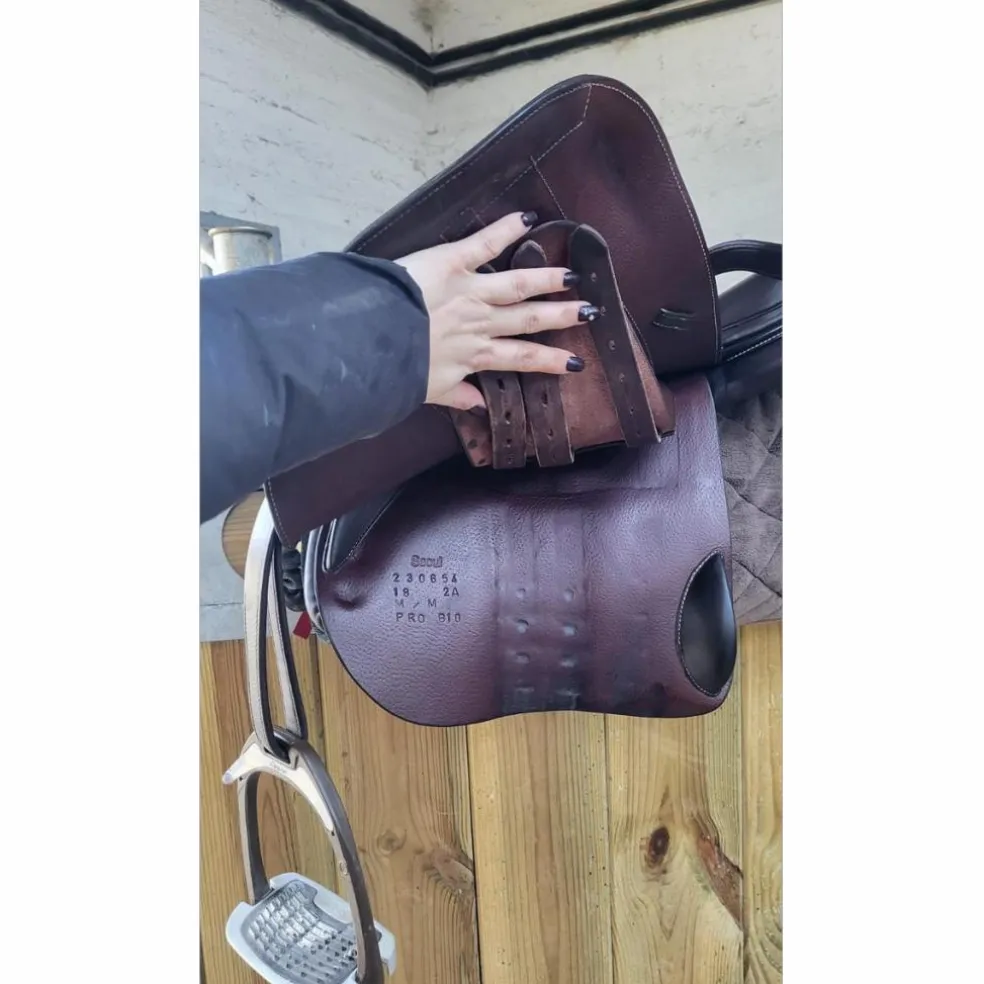 Selle Forestier Séoul
