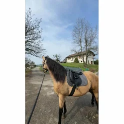 selle Fouganza Noire