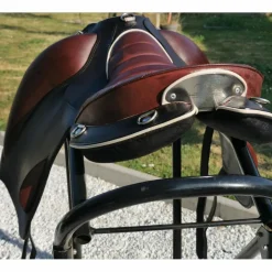 Selle Gaston Mercier Compiègne