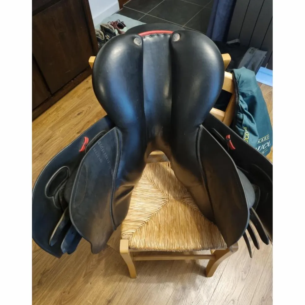 Selle GBS