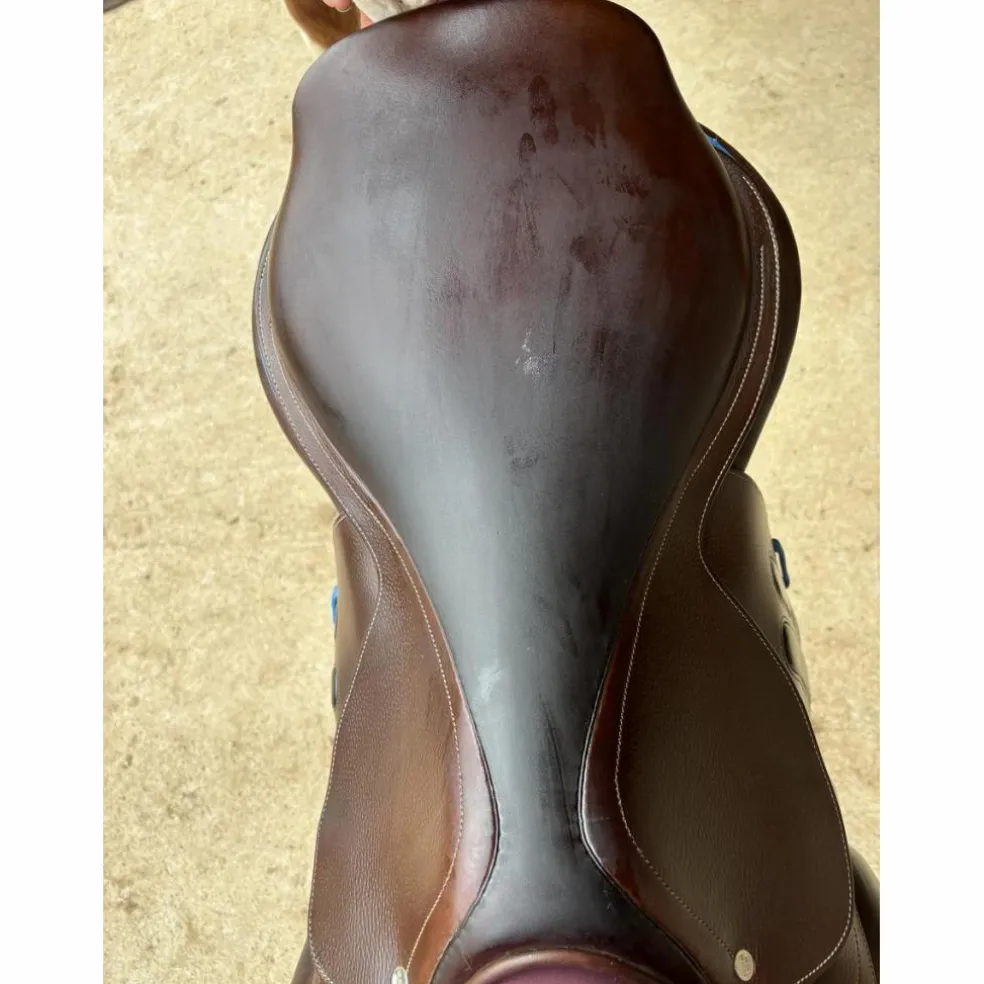 Selle gbs