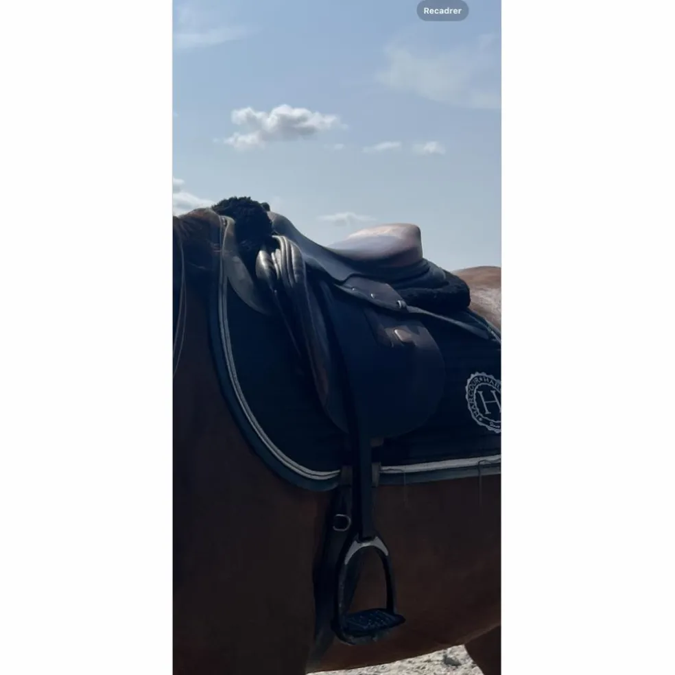 Selle GBS