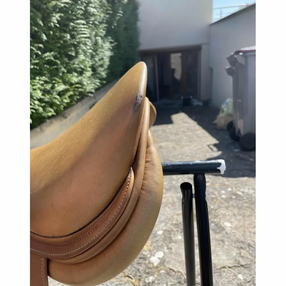 selle GBS